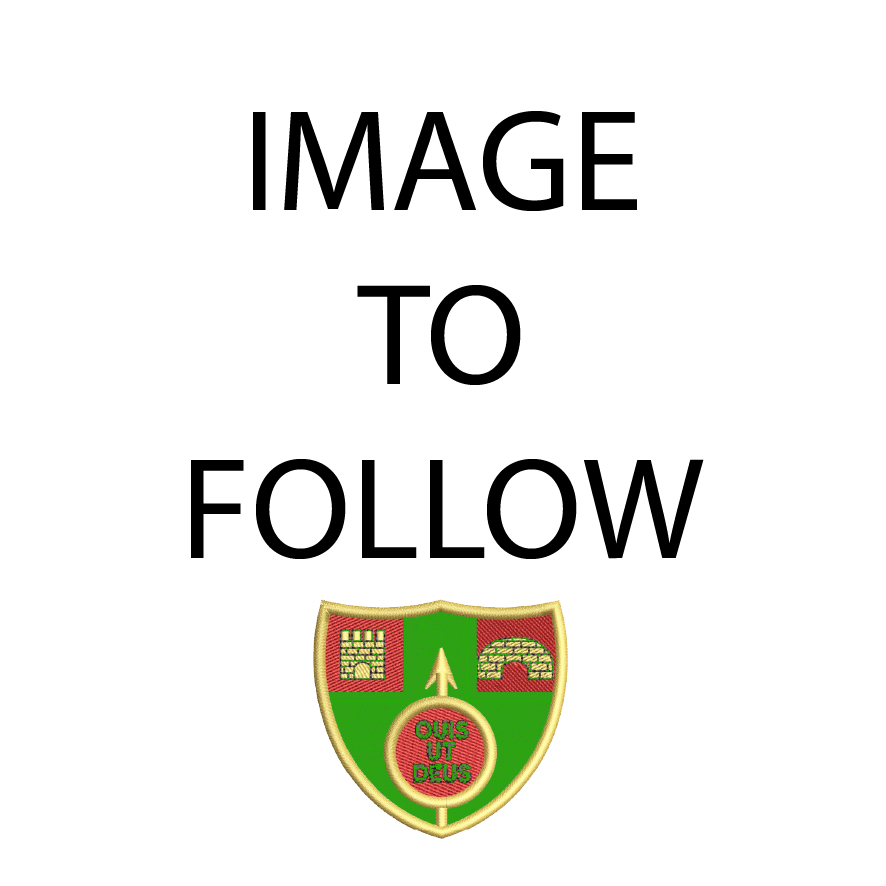 St Michael's Primary School - Tie