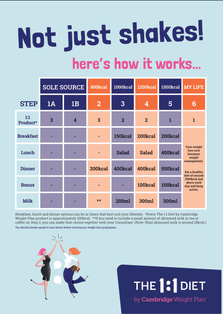The 1:1 Diet - Double Sided Flyer