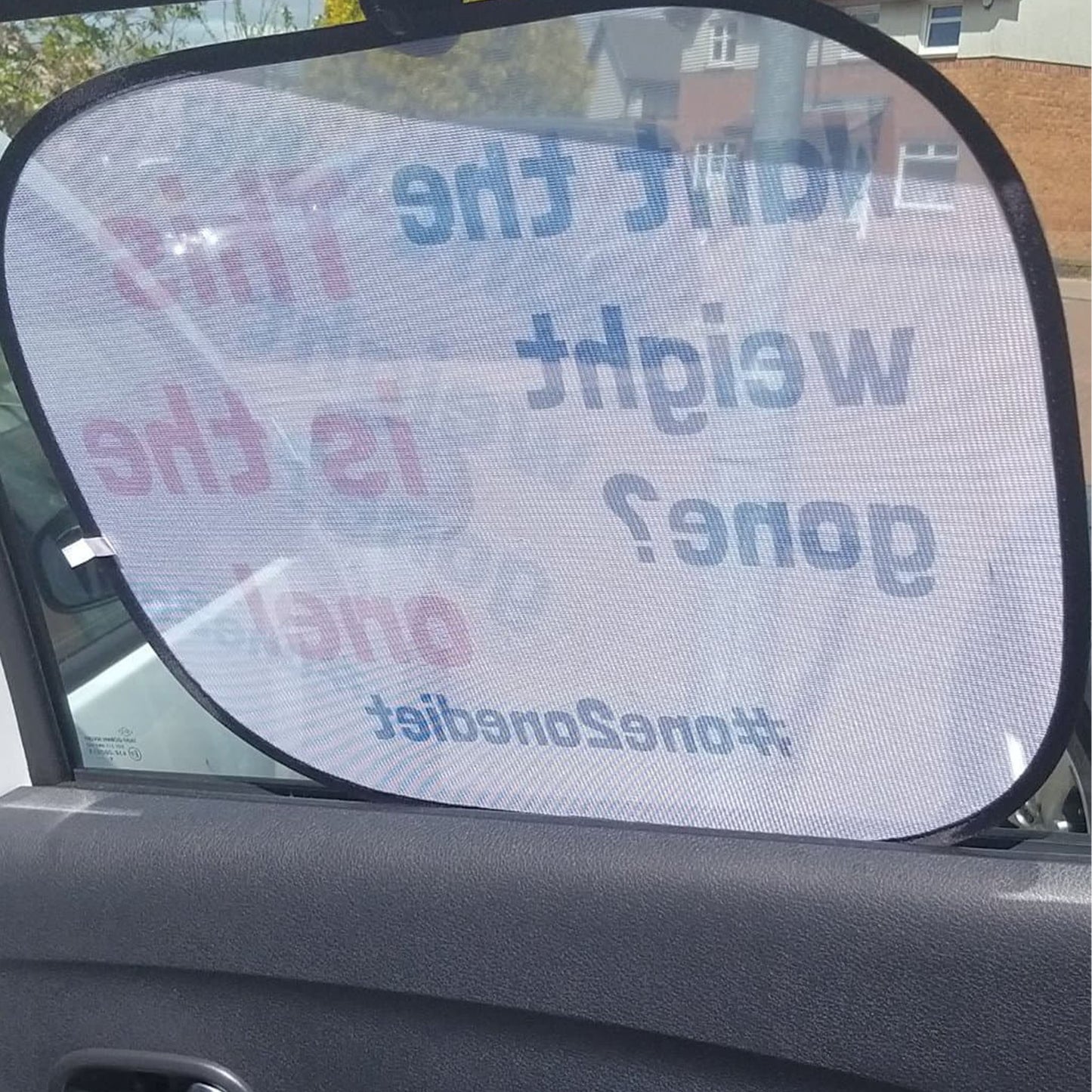 The 1:1 Diet - Car Window Shades