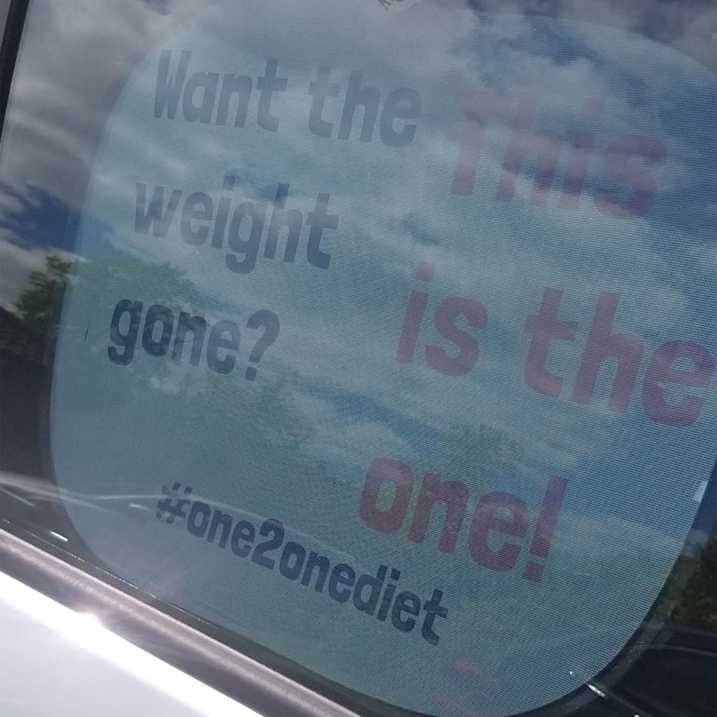 The 1:1 Diet - Car Window Shades