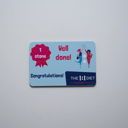 The 1:1 Diet - Fridge Magnets
