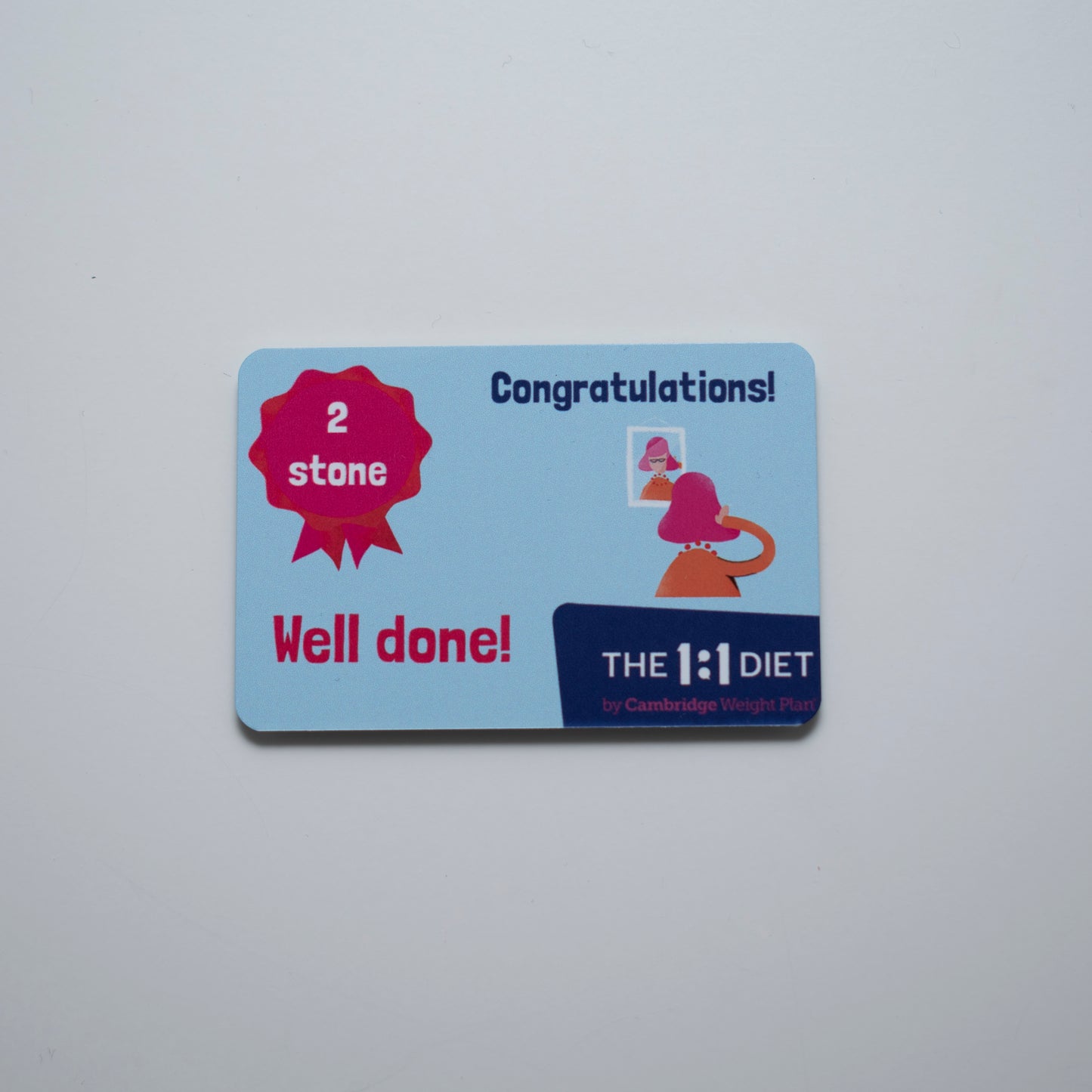 The 1:1 Diet - Fridge Magnets